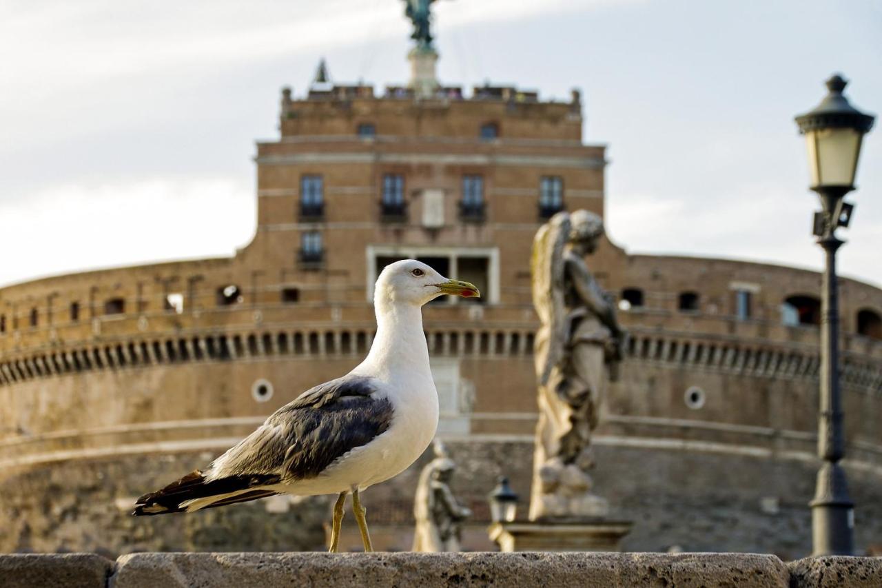 Roma Vatican Zewnętrze zdjęcie